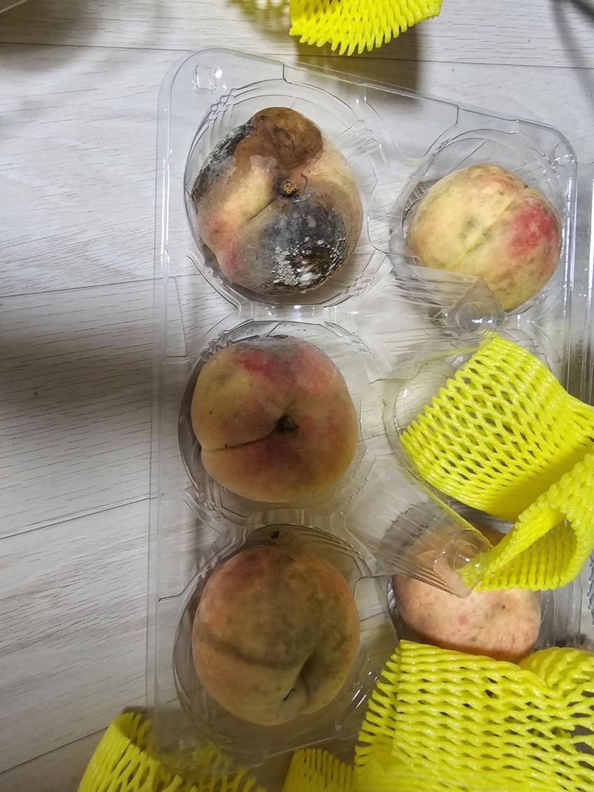 4.불량 복숭아